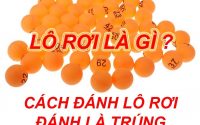 Lô Rơi Là Gì? Phương Pháp Đánh Lô Rơi Hiệu Quả